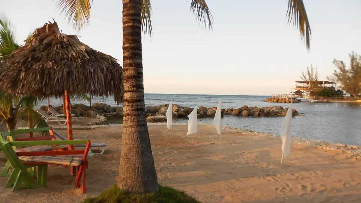 The hotel's small beach, with a palm tree, a thatched shade and the rocks